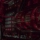 op_alfonso-castro-cGqg8Bx2Kbw-unsplash-350x350 (15)